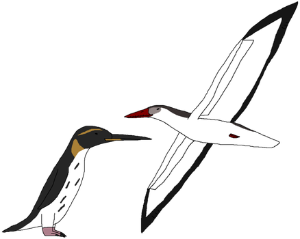 Ocean Birds PNG Picture SVG Clip arts