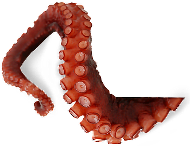 Octopus Tentacles PNG Transparent Picture SVG Clip arts