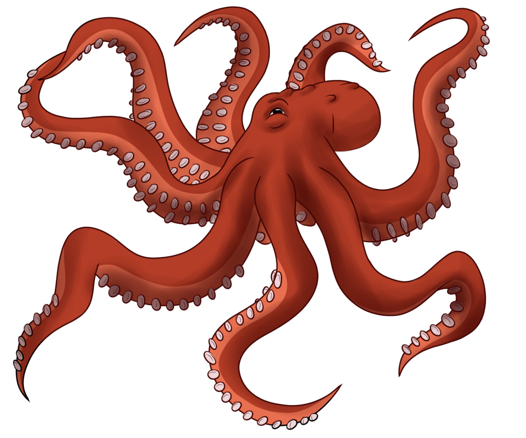 Octopus Toy PNG Image SVG Clip arts
