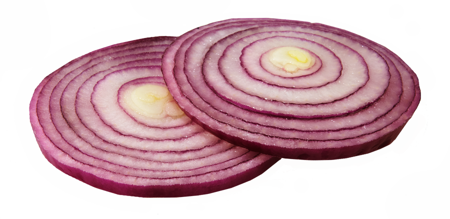 Download Onion Slice Png Clipart Png Svg Clip Art For Web Download Clip Art Png Icon Arts