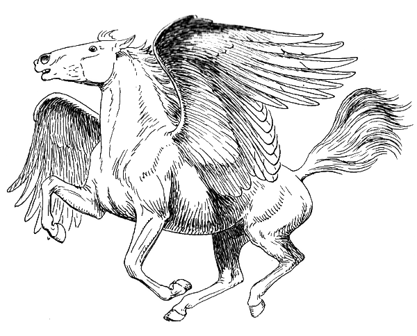 Pegasus PNG Transparent Image SVG Clip arts