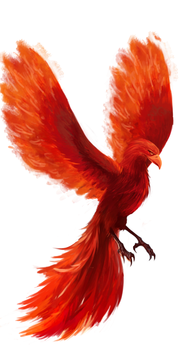 Phoenix PNG HD PNG, SVG Clip art for Web - Download Clip Art, PNG Icon Arts