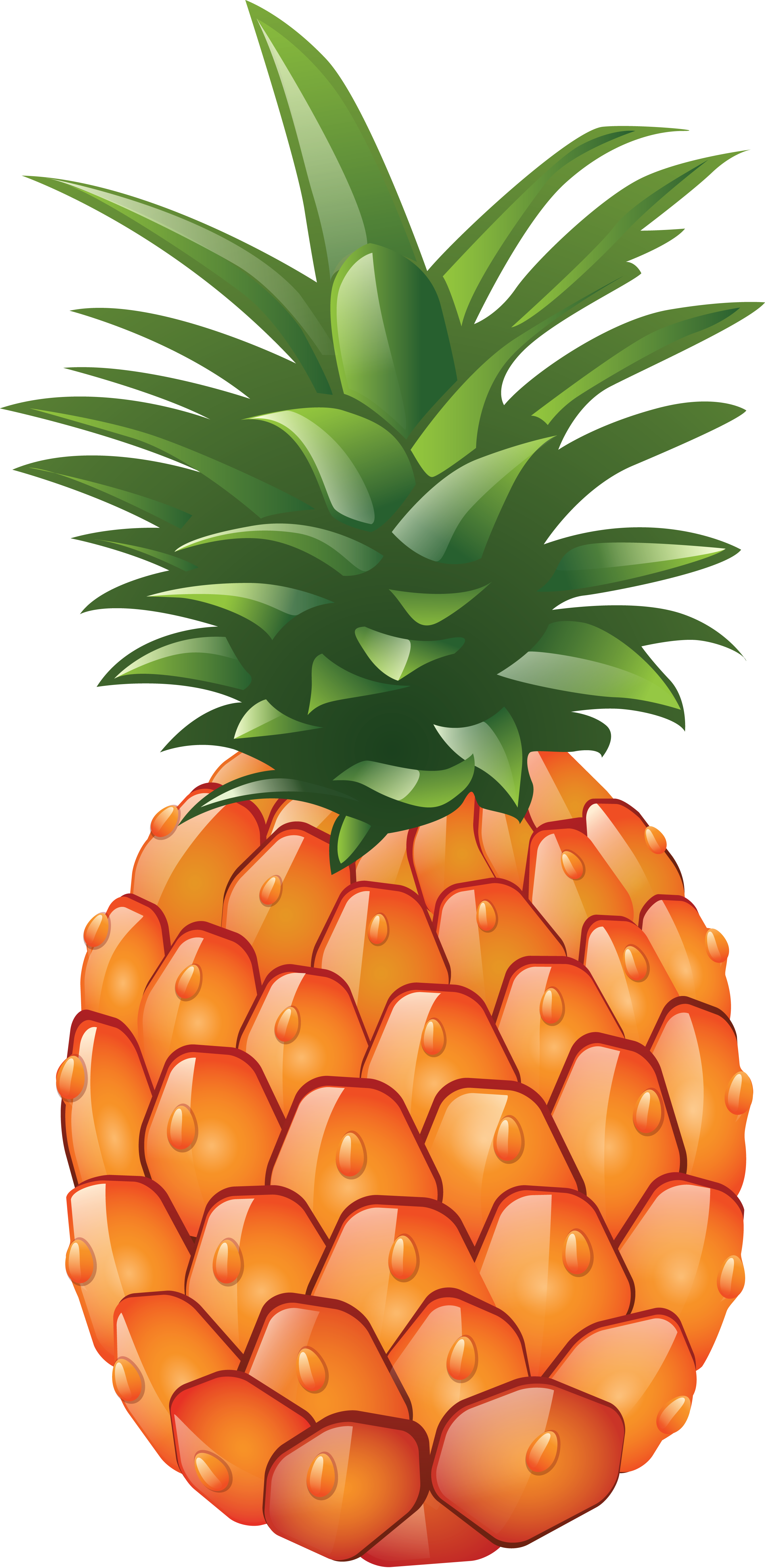 Pineapple PNG HD Photo PNG, SVG Clip art for  Download Clip Art