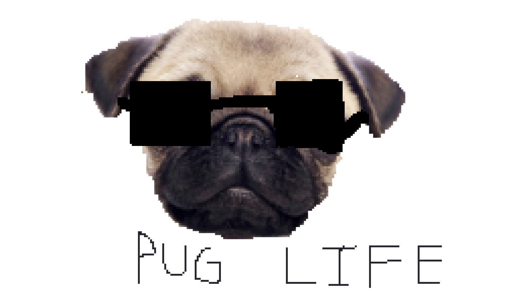 Free Free Pug Life Svg Free 358 SVG PNG EPS DXF File