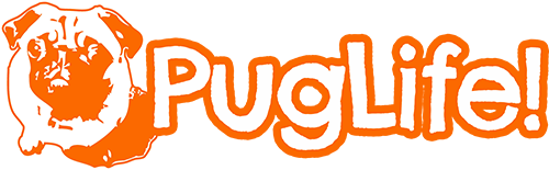 Free Free Pug Life Svg Free 873 SVG PNG EPS DXF File
