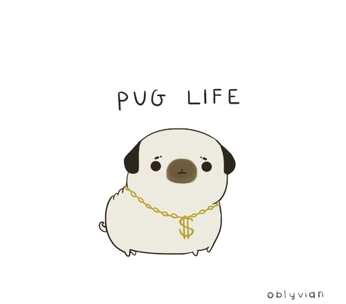 Download Pug Life Png Image Png Svg Clip Art For Web Download Clip Art Png Icon Arts