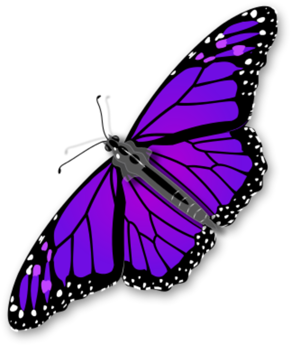 Purple Butterfly Transparent PNG PNG, SVG Clip art for Web - Download