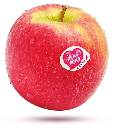 Red Apple PNG Free Download SVG Clip arts