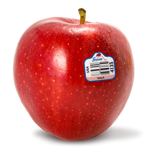 Red Apple PNG HD SVG Clip arts