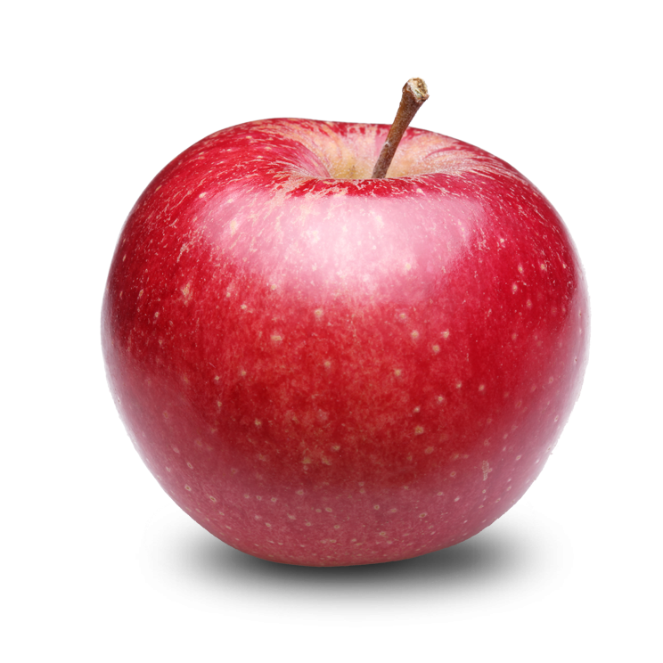 Red Apple PNG Photos SVG Clip arts