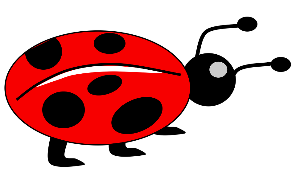 Red Ladybug Png Free Download Svg Clip Arts Download Download Clip Art Png Icon Arts