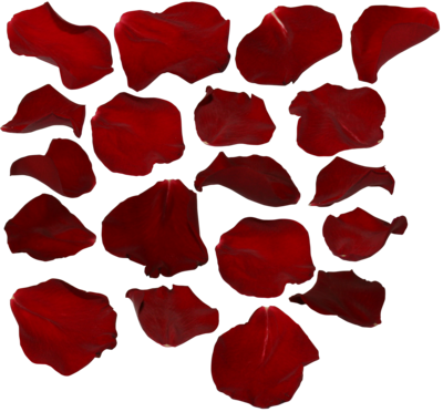 rose petals transparent png png svg clip art for web download clip art png icon arts clip arts