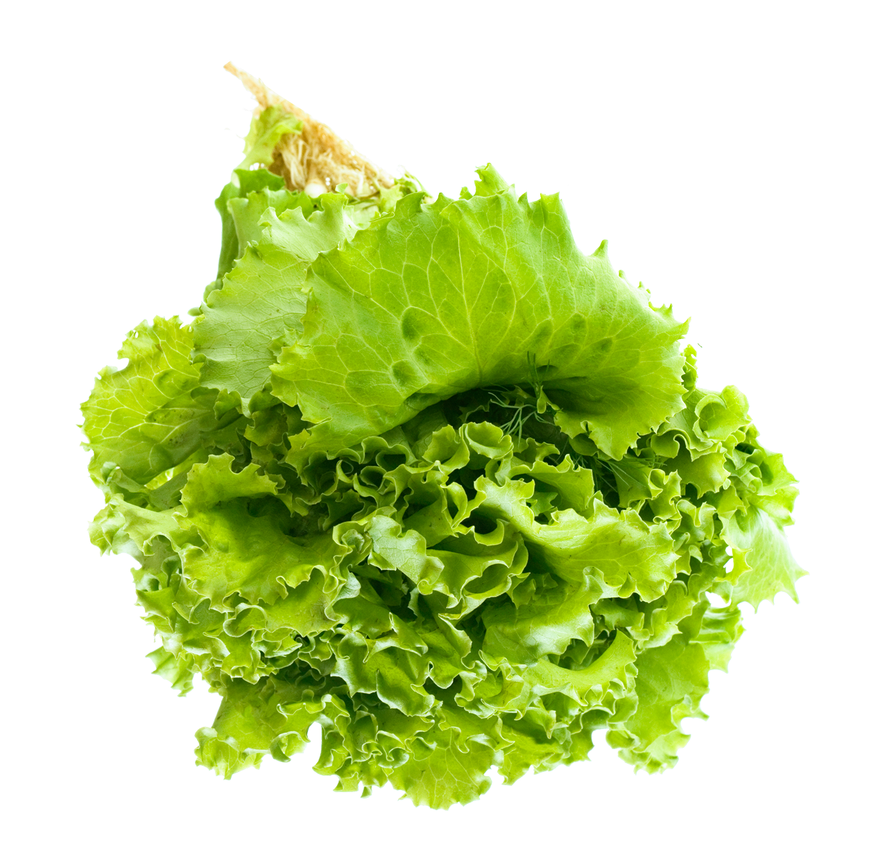 Salad PNG Transparent Image SVG Clip arts