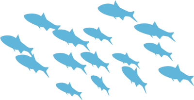 Download School Of Fish Png Hd Png Svg Clip Art For Web Download Clip Art Png Icon Arts