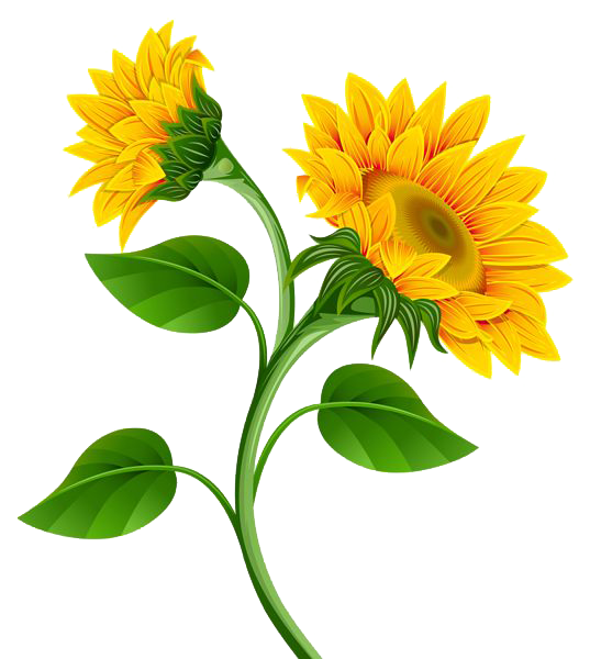 Free Free 232 Sunflower Svg Png SVG PNG EPS DXF File