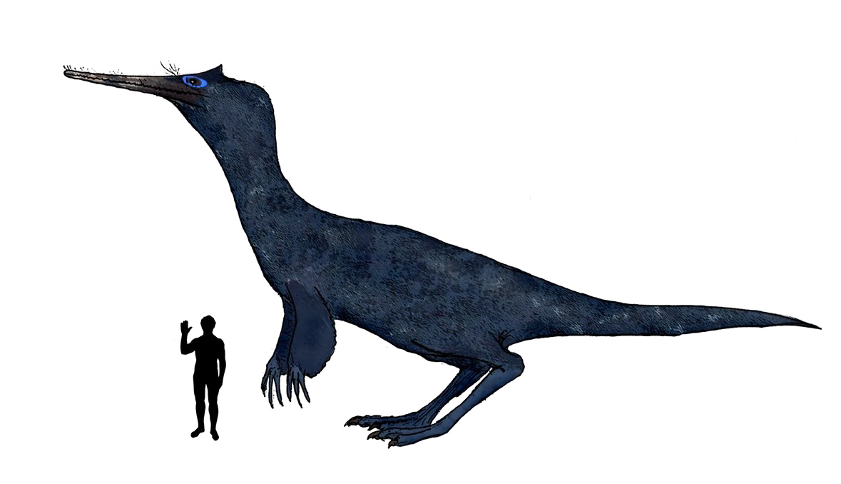 mega theropod