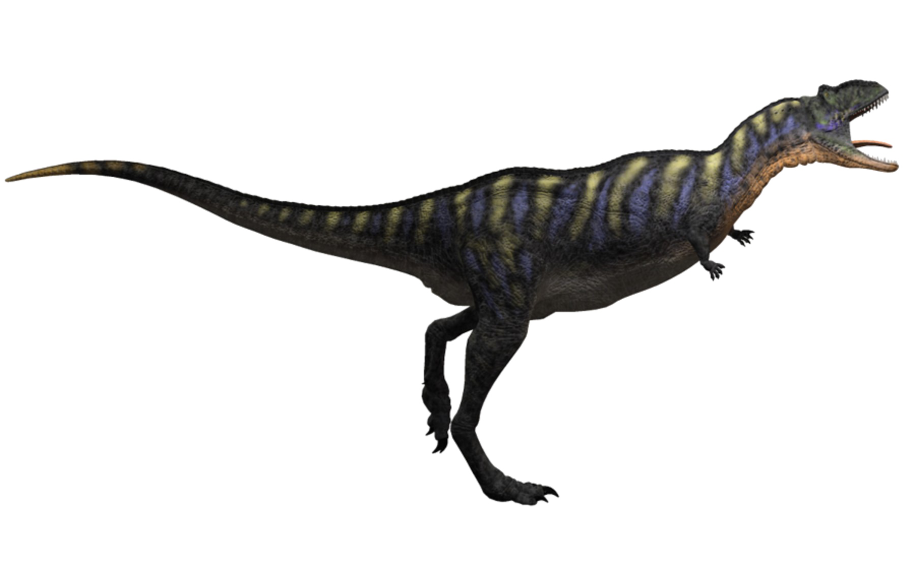 theropod
