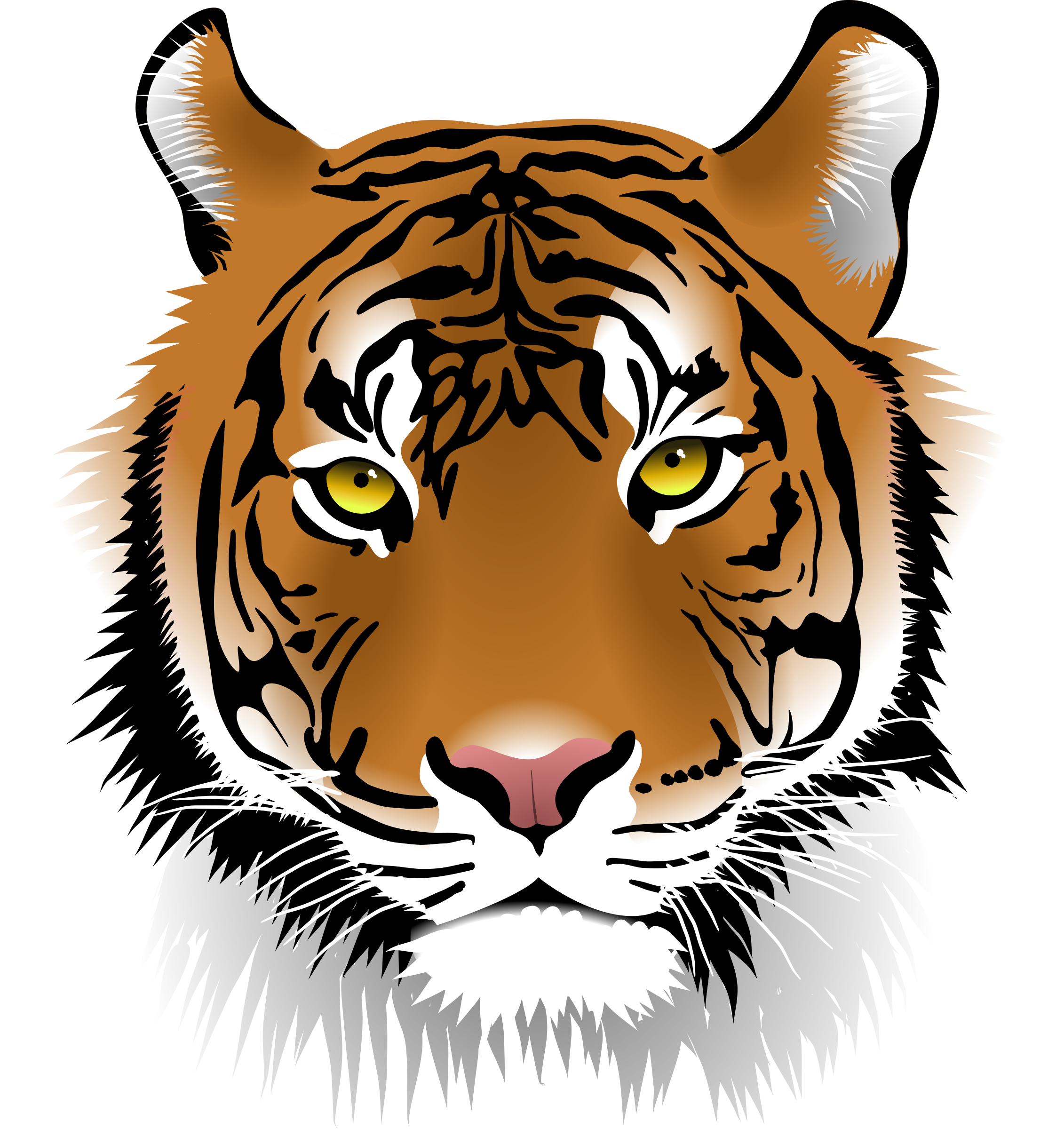 Рисунки в формате jpg. Голова тигра. Лицо тигра. Морда тигра. Тигр рисунок.