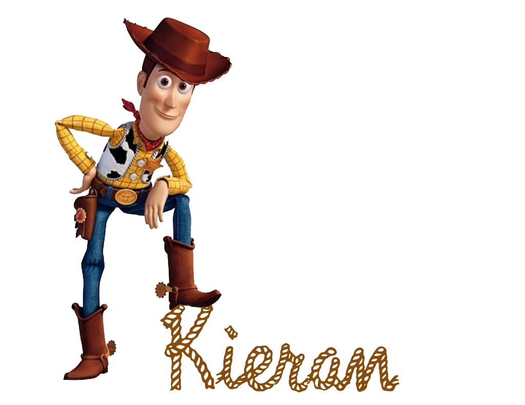 woody toy story book