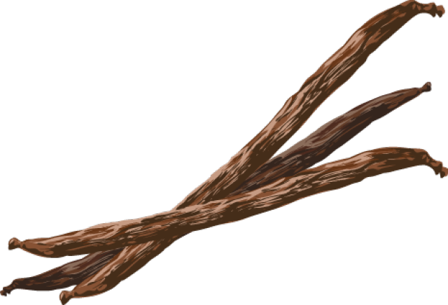 Vanilla Bean PNG File PNG, SVG Clip art for Web - Download Clip Art