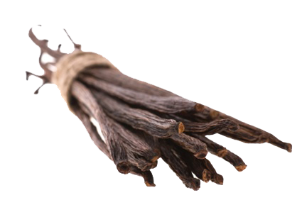Vanilla Bean Transparent PNG PNG, SVG Clip art for Web - Download Clip
