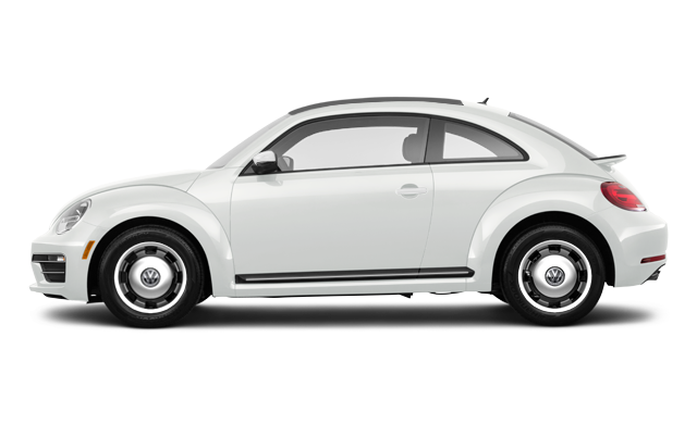VW Beetle vector