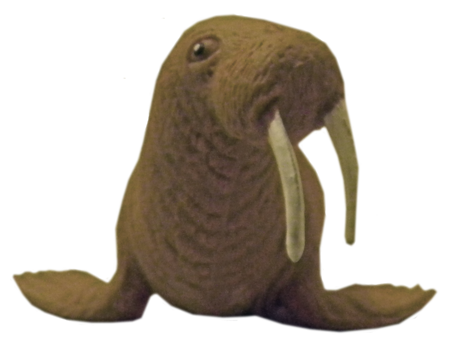 Walrus PNG Transparent SVG Clip arts