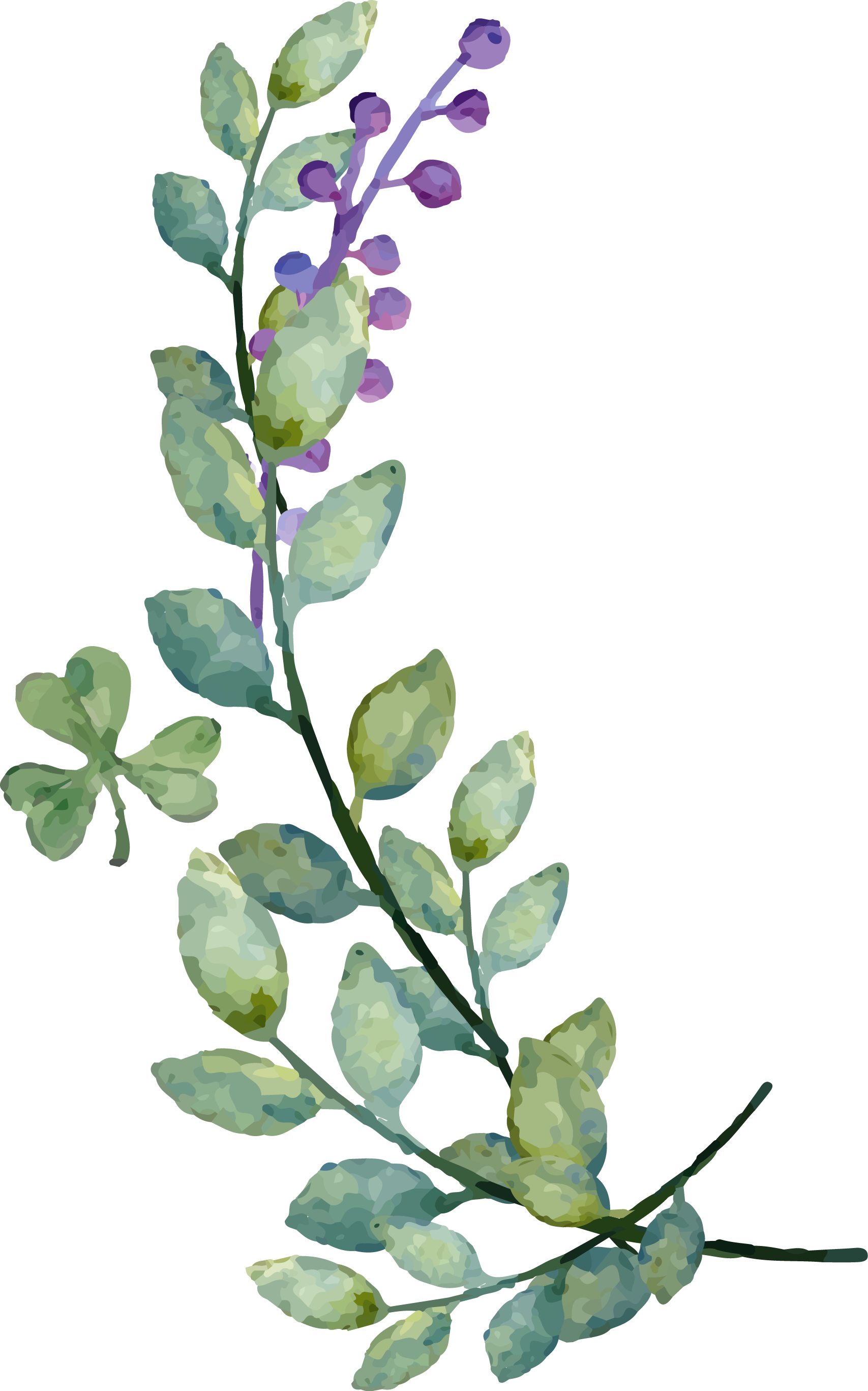Download Watercolor Leaves Png Image Png Svg Clip Art For Web Download Clip Art Png Icon Arts