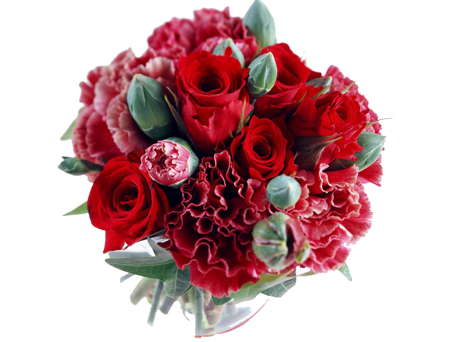 Free Free 96 Flower Svg Transparent SVG PNG EPS DXF File