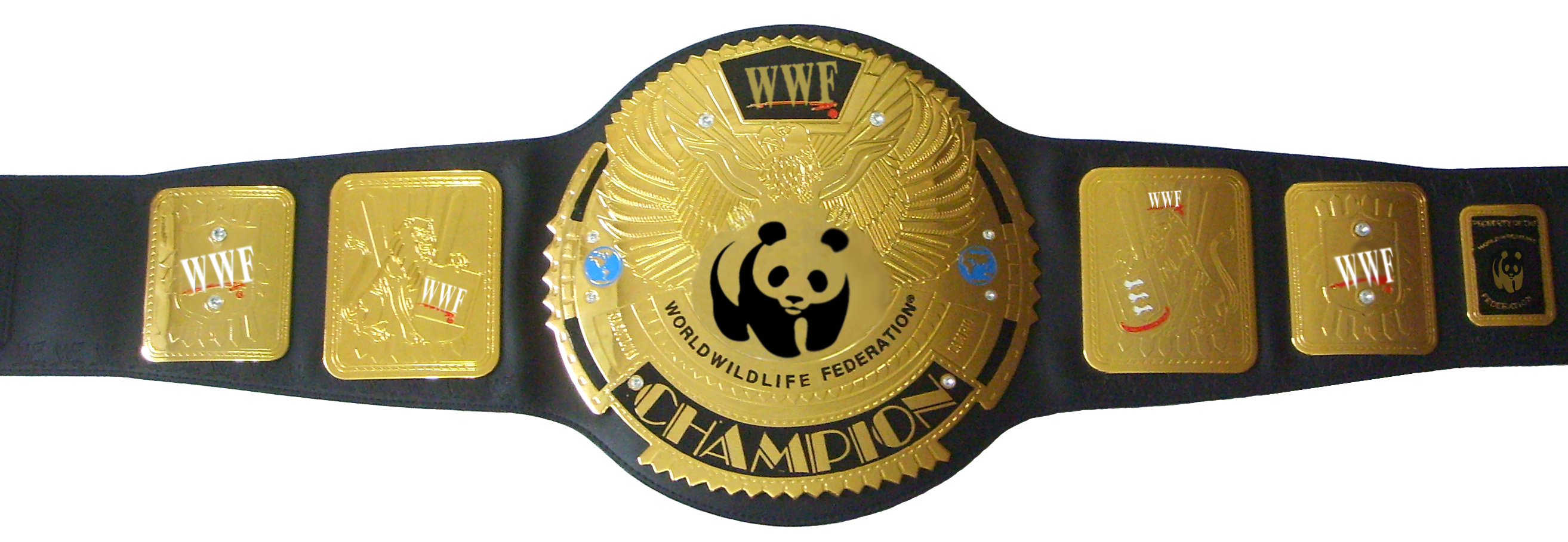 Wrestling Belt Transparent Background PNG, SVG Clip art for Web