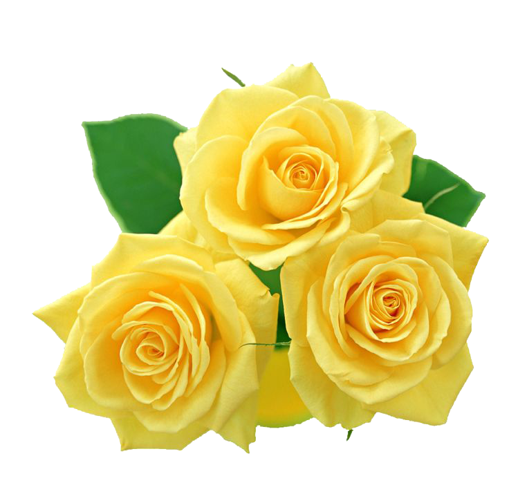 Free Free 66 Yellow Flower Svg SVG PNG EPS DXF File