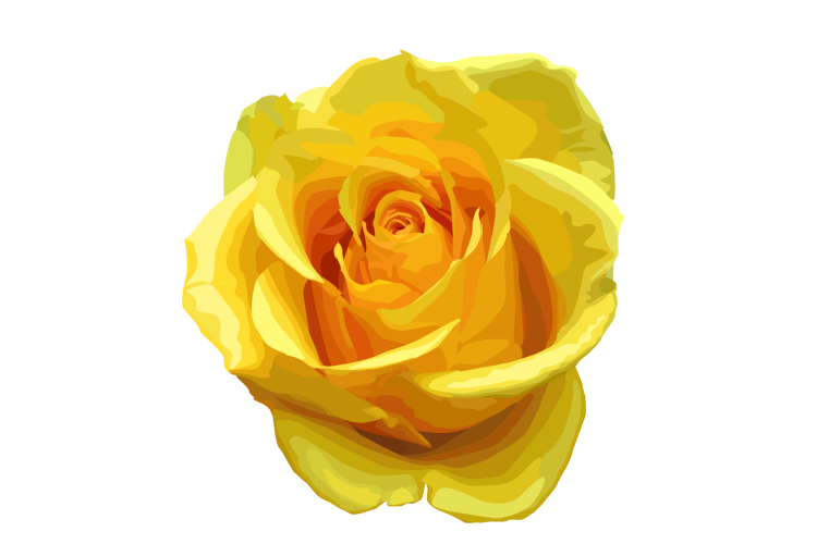 Yellow Rose PNG Transparent Image PNG, SVG Clip art for  Download