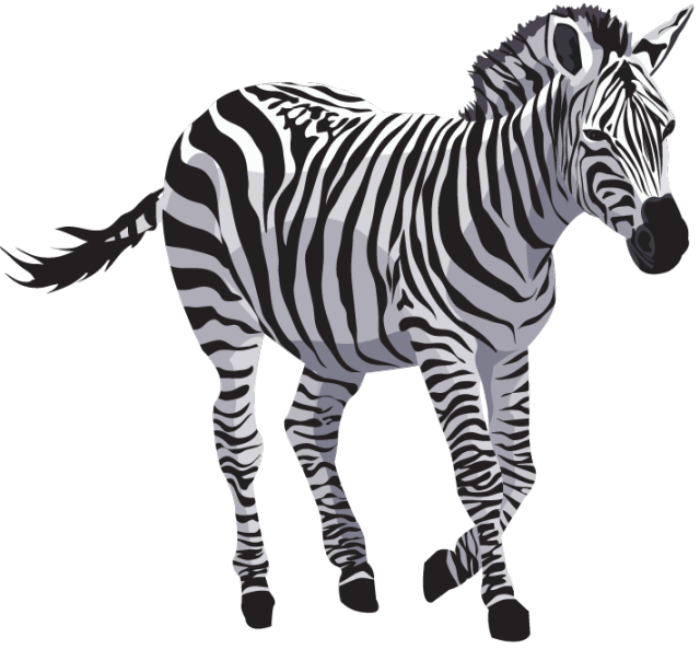 Download Zebra Png File Download Free Png Svg Clip Art For Web Download Clip Art Png Icon Arts