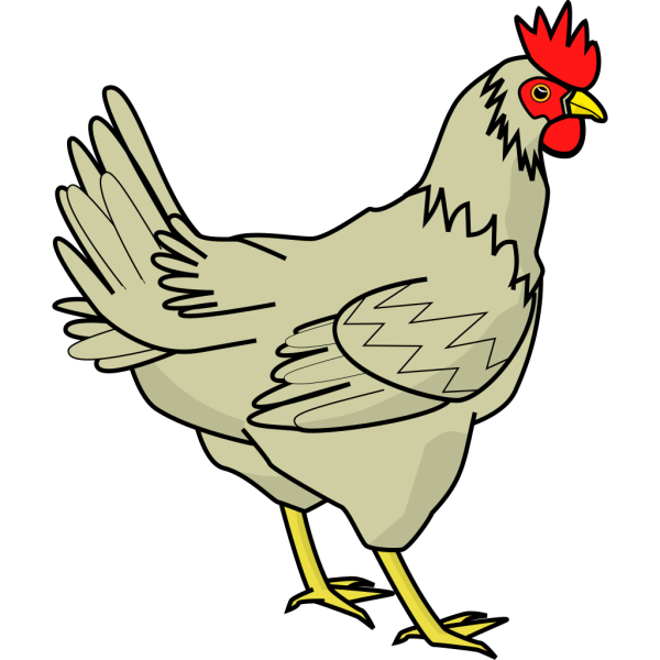 Cream Colored Chicken PNG Clip art
