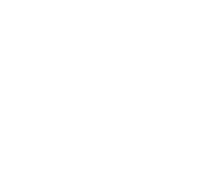 Dove Of Peace PNG images