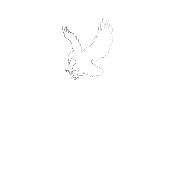 Flying Bird Eagle PNG Clip art