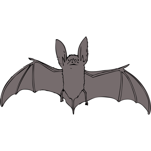 Bat PNG Clip art