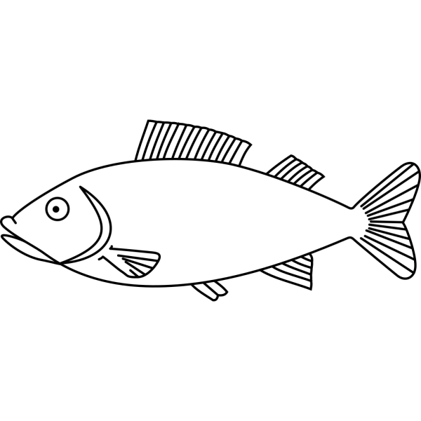 Fish 22 PNG Clip art