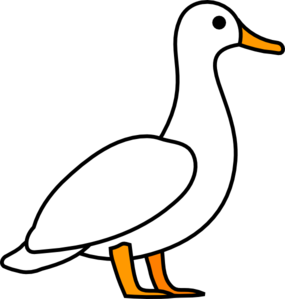 Swimming Duck PNG images