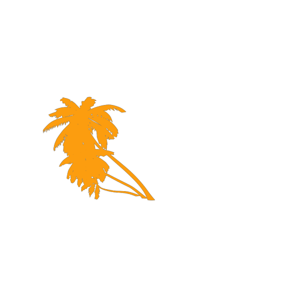 Palm Tree PNG images