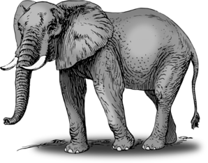 Detailed Elephant Art PNG Clip art