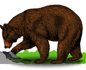 Detailed Brown Bear Art PNG Clip art