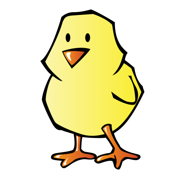 Baby Chick PNG Clip art