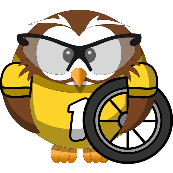 Owl Bicyclist PNG Clip art