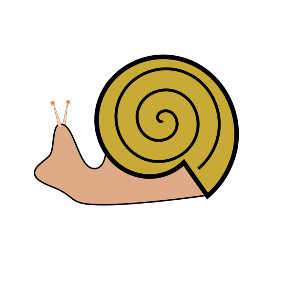 Snail 15 PNG Clip art