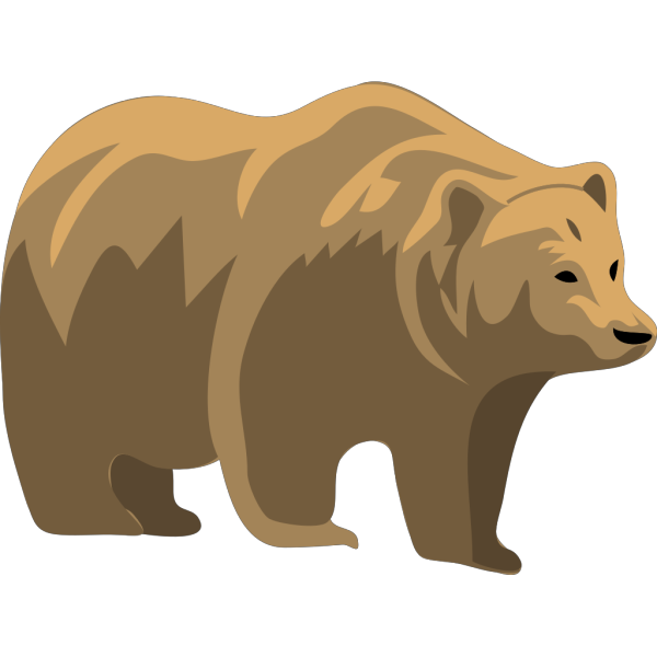Orso 3 PNG images