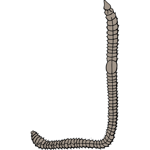 Earth Worm PNG Clip art