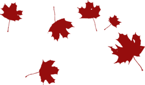 Leaves 3 PNG images