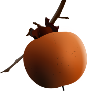 Peach PNG images