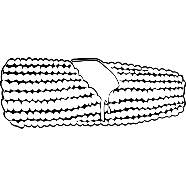 Corn On The Cob (b And W) PNG Clip art